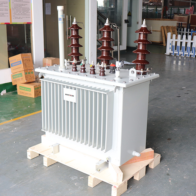 Transformateur de distribution immergé de l'huile triphasée en série C11