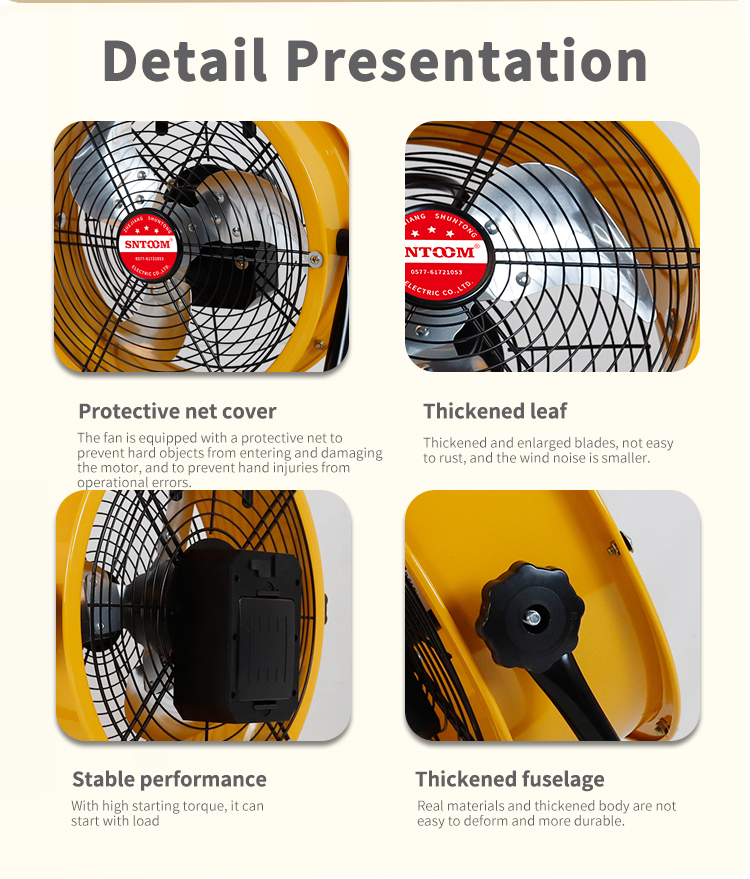 D&eacute;tail Pr&eacute;sentation 