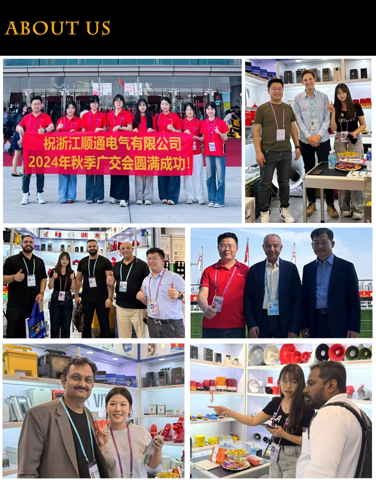 STFD axial flow fan, powerful ventilation fan (2) 