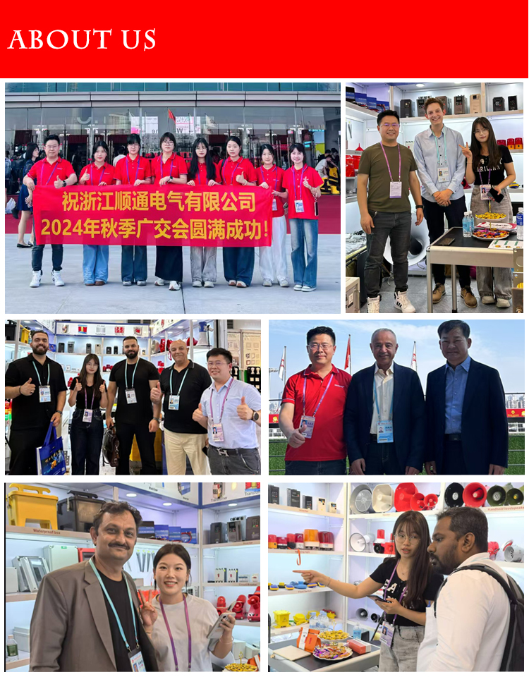 ST-1 dans Solar Sheep Fan10 