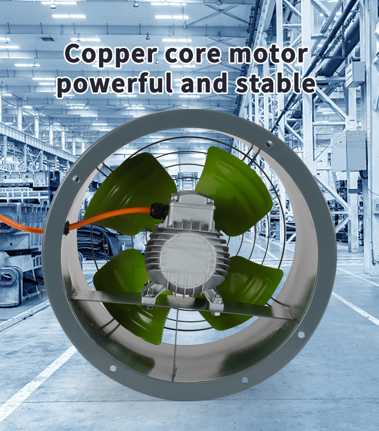 industriel S&eacute;rie SF Fan de flux de flux axial industriel 